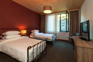 Отель Vardzia Resort Вардзиа Двухместный номер Делюкс с 1 кроватью или 2 отдельными кроватями-1